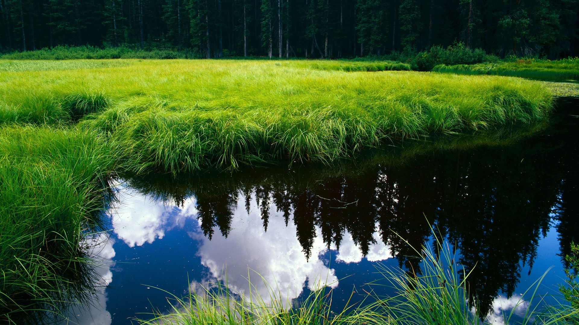 《电竞赛事的多平台联动：直播+短视频+社交新体验》，电竞赛事现场