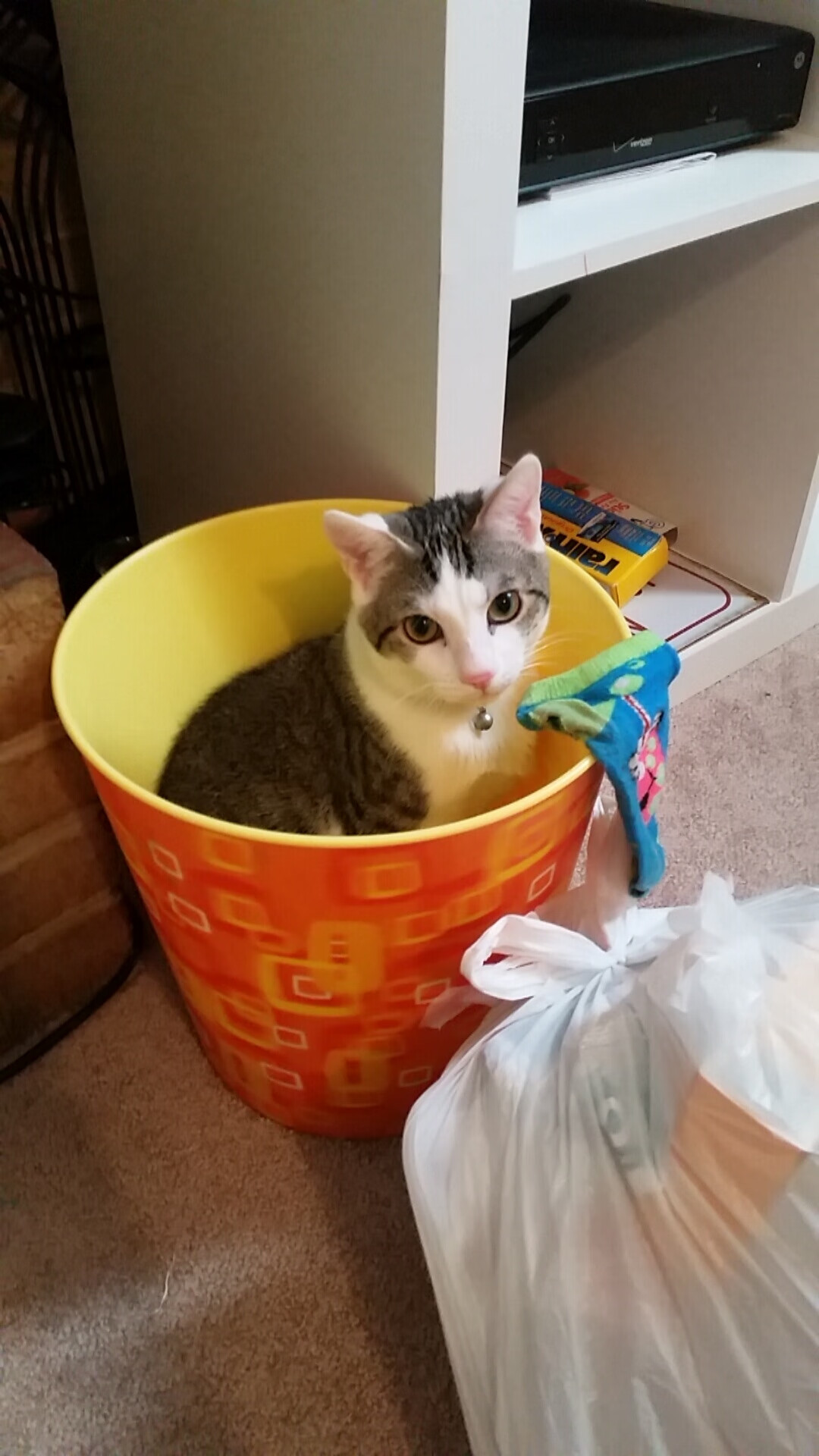 开云体育俱乐部官网-品牌授权合作推动中国特色体育产业多元化发展，体育品牌文化